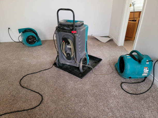 Best Flood restoration services  in Green Tree, PA