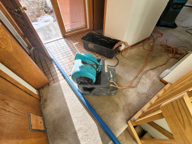 Best Professional water damage repair  in Green Tree, PA