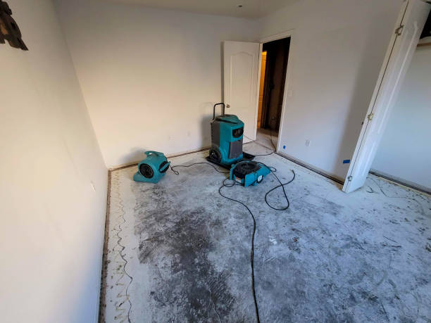Best Sewage cleanup and water damage restoration  in Green Tree, PA