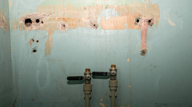 Best 24/7 water damage repair  in Green Tree, PA