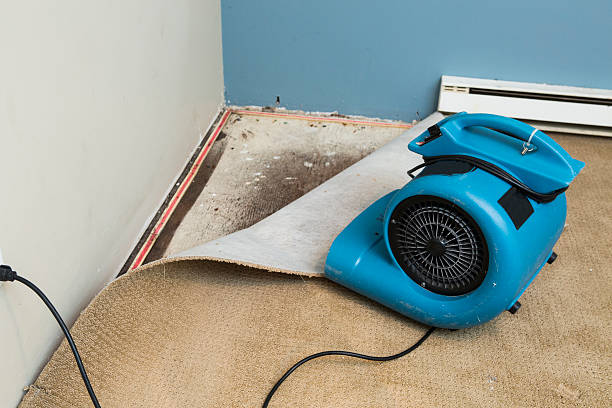 Best Carpet water damage restoration  in Green Tree, PA